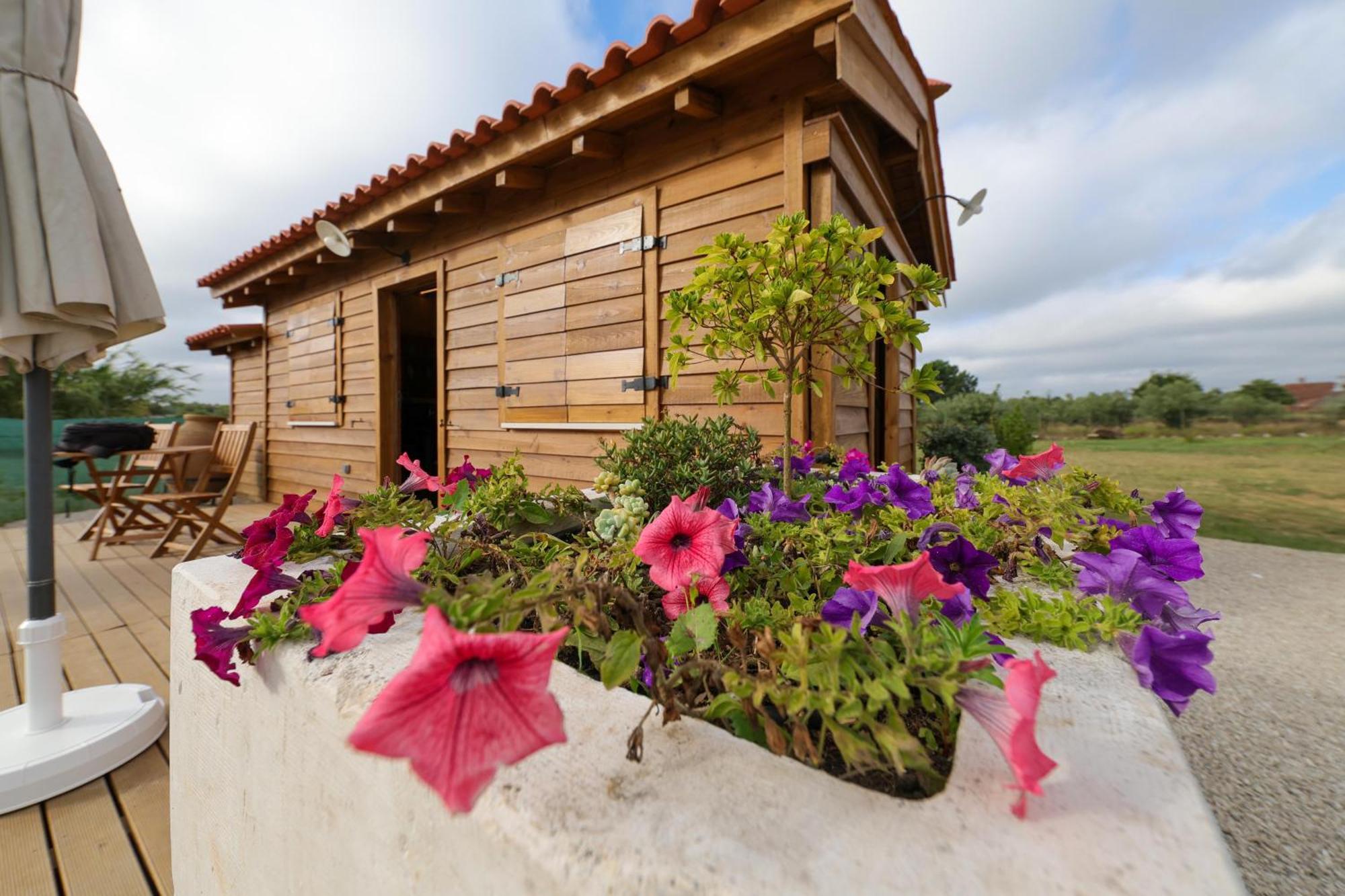Villa Renovated Wine Press House - With Pool Porto de Mós Zimmer foto